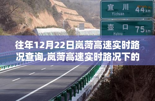 嵐菏高速實時路況下的隱秘美味探索，特色小店探尋之旅
