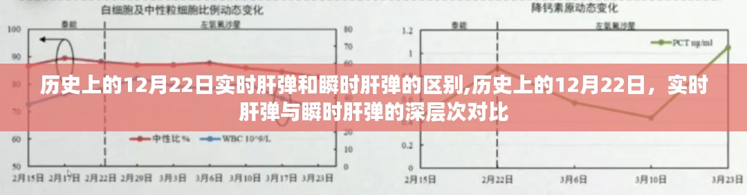 歷史上的12月22日，實時肝彈與瞬時肝彈的深入對比與區(qū)別探討
