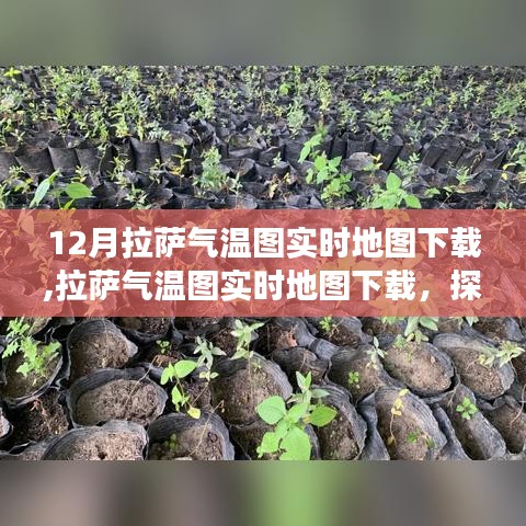 探尋氣候變遷背后的影響，拉薩氣溫實(shí)時(shí)地圖下載及分析