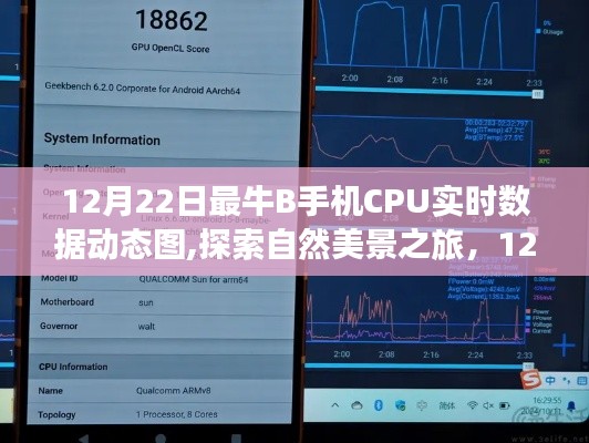 12月22日手機CPU實時數(shù)據(jù)動態(tài)圖，探索自然美景，領(lǐng)略寧靜之美之旅