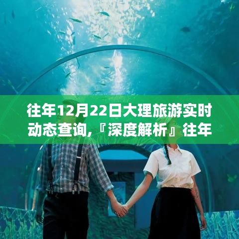 『深度解析』，往年12月22日大理旅游實時動態(tài)查詢?nèi)馕觥匦?、體驗、競品對比與用戶洞察體驗報告