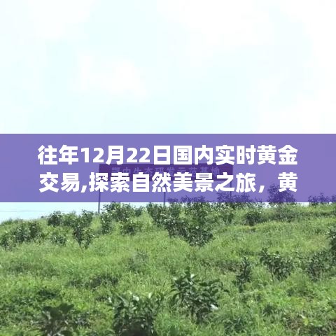 黃金交易與自然美景之旅，一場遠(yuǎn)離塵囂的奇妙黃金交易體驗與心靈之旅