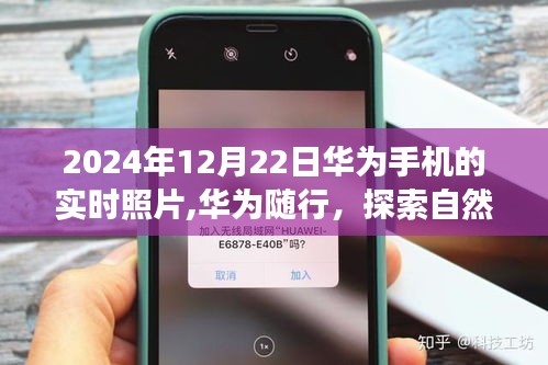 華為隨行，探索自然美景的旅程，喚醒內(nèi)心的平靜之美——華為手機(jī)實(shí)時(shí)照片記錄時(shí)光