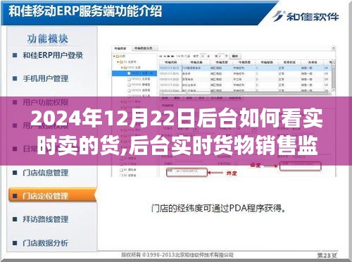 后臺實時貨物銷售監(jiān)控體系詳解，以2024年12月22日為例的銷售數(shù)據(jù)評測與實時貨物銷售監(jiān)控解析