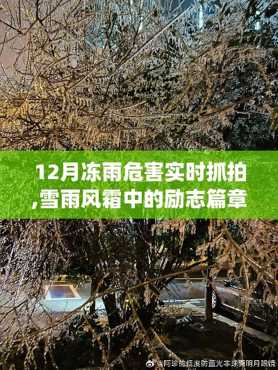 雪雨風霜中的勵志篇章，凍雨危害下的學習與自信成長之路