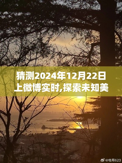 探索未知美景，尋找內心寧靜，2024年微博實時自然之旅猜想揭秘