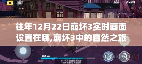 崩壞3實(shí)時(shí)畫面設(shè)置揭秘，自然之旅與內(nèi)心的平靜魔法