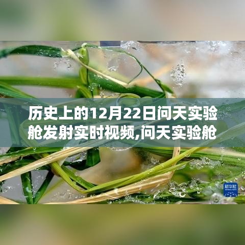 廢寢忘食 第3頁