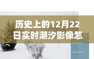 揭秘歷史潮汐影像，解析12月22日實時潮汐影像，特性、體驗、競品對比與用戶洞察