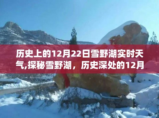 雪野湖歷史實時天氣揭秘，探尋12月22日的獨特風情與小巷韻味