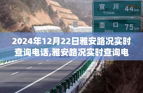 飛箭如蝗 第3頁