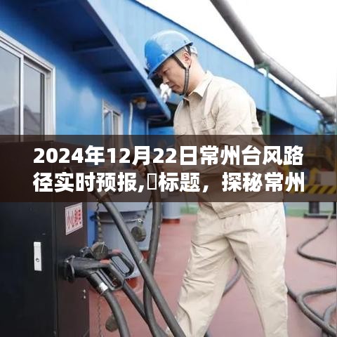 臺風(fēng)來襲下的常州小巷美食探秘，實(shí)時(shí)路徑預(yù)報(bào)與驚喜邂逅