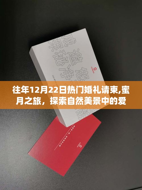 遠離塵囂的婚禮冒險，探索自然美景中的愛情誓言與蜜月之旅的浪漫啟程