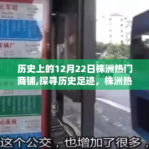 一本正經(jīng) 第3頁