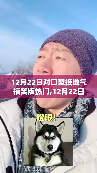 12月22日對口型接地氣搞笑版熱門全面評測與介紹，歡樂不停歇