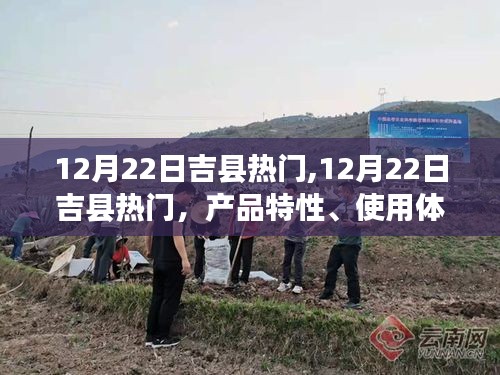 12月22日吉縣熱門產(chǎn)品深度解析，特性、用戶體驗與目標(biāo)用戶群體探討