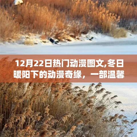 冬日暖陽(yáng)下的溫馨動(dòng)漫奇緣，12月22日熱門動(dòng)漫圖文回顧