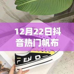 抖音熱門聯(lián)名帆布鞋女款，科技潮流融合之作重磅來(lái)襲