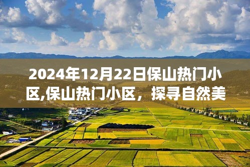 探尋保山熱門小區(qū)的自然美景之旅，心靈寧靜的港灣（2024年12月22日）
