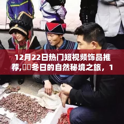 12月22日熱門飾品推薦，冬日的自然秘境之旅，探尋內(nèi)心寧靜與平和的飾品