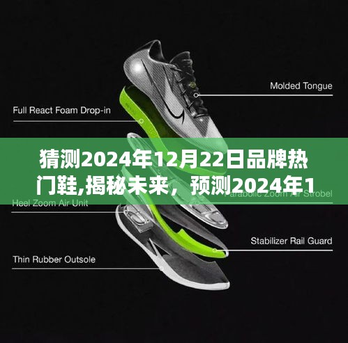 揭秘未來鞋履潮流趨勢，預測2024年12月22日熱門品牌鞋風采亮相