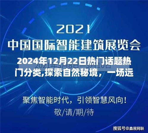 探索自然秘境，寧?kù)o力量下的心靈之旅，揭秘?zé)衢T(mén)話題背后的秘密