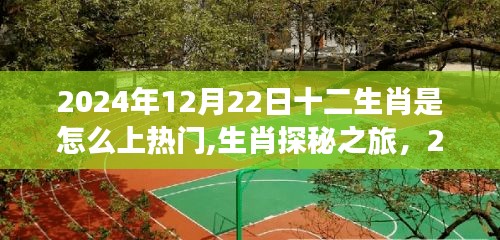 冬至生肖探秘之旅，尋找熱門生肖與內(nèi)心的寧靜