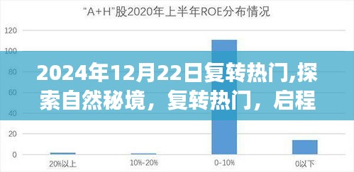 探索自然秘境，啟程心靈之旅，復(fù)轉(zhuǎn)熱門的心靈探索之旅（2024年）
