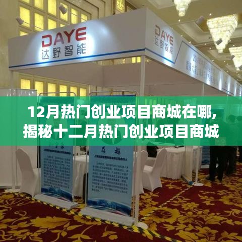 揭秘十二月熱門(mén)創(chuàng)業(yè)項(xiàng)目商城所在地，探尋成功創(chuàng)業(yè)的起點(diǎn)