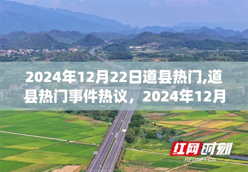 飛揚撥扈 第3頁
