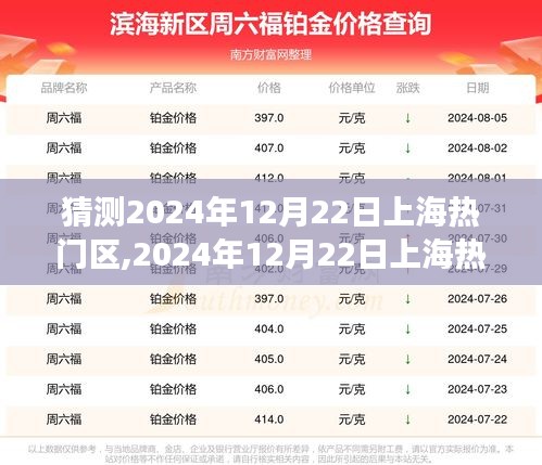 深度剖析，展望2024年12月22日上海熱門區(qū)域背景、事件與地位