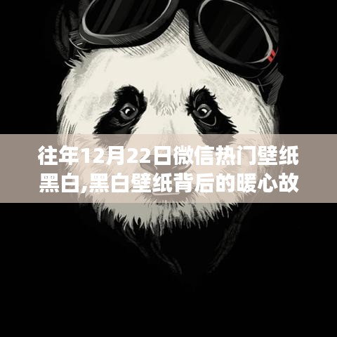 黑白壁紙背后的暖心故事，微信熱門(mén)壁紙與溫馨朋友聚會(huì)的回憶