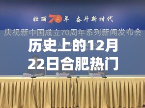歷史上的12月22日合肥熱門咨詢深度解析，特性、體驗、競品對比與用戶洞察