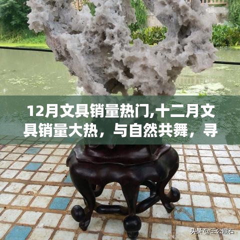 十二月文具銷量飆升，與自然共舞的心靈之旅