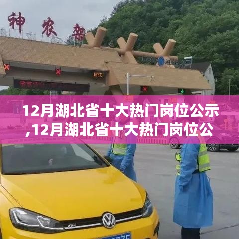 12月湖北省熱門崗位公示，求職者的黃金參考指南