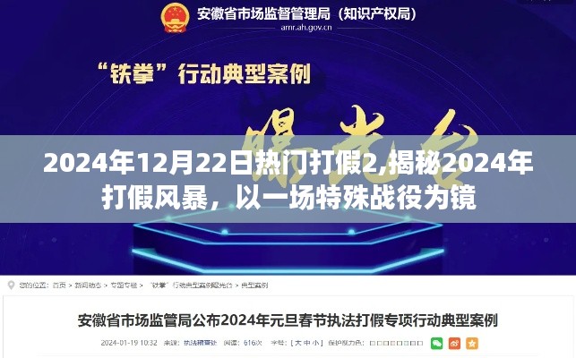 揭秘2024年打假風(fēng)暴，一場特殊戰(zhàn)役的啟示與反思