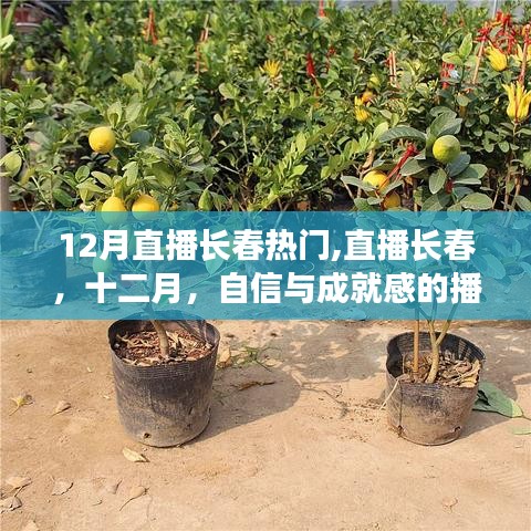 12月長(zhǎng)春直播熱潮，播種自信與成就感的季節(jié)