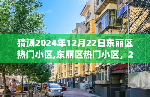 東麗區(qū)熱門(mén)小區(qū)展望與回顧，預(yù)測(cè)2024年12月22日的趨勢(shì)與變化