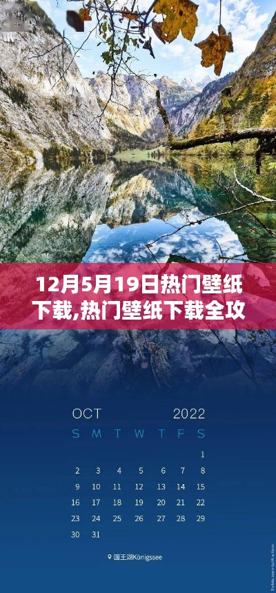 12月5日至19日精選壁紙下載全攻略，步驟詳解與熱門壁紙下載