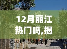 揭秘十二月麗江旅游熱潮，玩轉(zhuǎn)麗江的最佳攻略