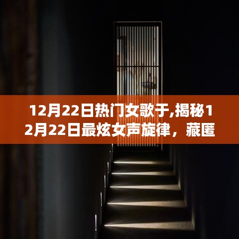 揭秘巷弄深處的音樂小酒館，12月22日最炫女聲旋律精選之夜