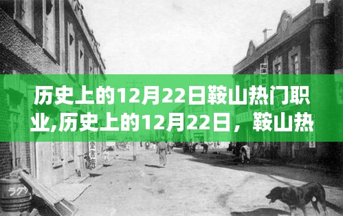 歷史上的12月22日鞍山職業(yè)風(fēng)采，熱血之路與自信鑄就輝煌之路
