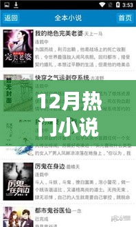 12月熱門小說全面評測與介紹，一網(wǎng)打盡！