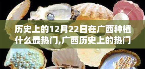廣西歷史上的種植焦點(diǎn)，深度解析廣西種植作物趨勢與12月22日的熱門種植焦點(diǎn)