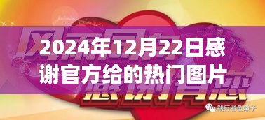 感恩饋贈，熱門圖片背后的故事與特殊的光輝時刻（2024年12月22日）
