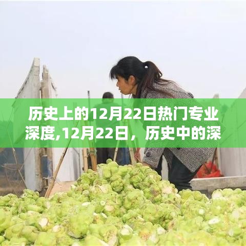 揭秘歷史上的熱門專業(yè)深度，笑聲背后的歷史深度解讀日（12月22日）