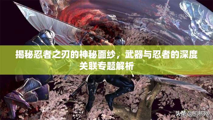 揭秘忍者之刃的神秘面紗，武器與忍者的深度關(guān)聯(lián)專題解析