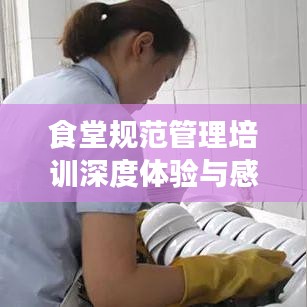 食堂規(guī)范管理培訓深度體驗與感悟