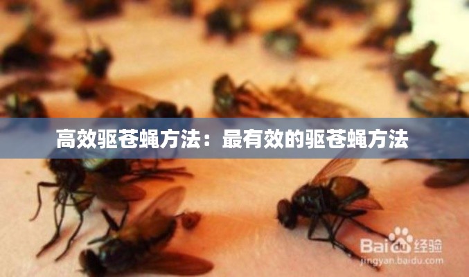 淡妝濃抹 第4頁(yè)