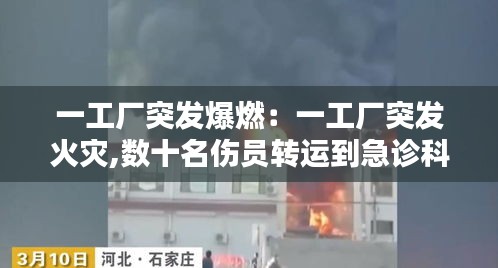 一工廠突發(fā)爆燃：一工廠突發(fā)火災(zāi),數(shù)十名傷員轉(zhuǎn)運(yùn)到急診科 